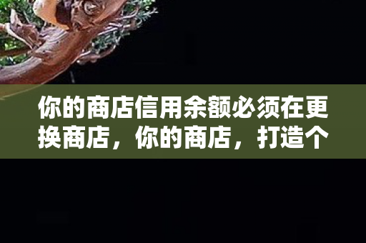 你的商店信用余额必须在更换商店,你的商店,打造个性化购物体验 你的商店信用余额必须在更换商店,你的商店,打造个性化购物体验