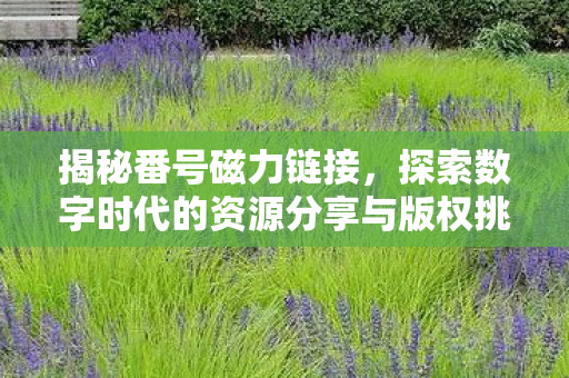 揭秘番号磁力链接，探索数字时代的资源分享与版权挑战