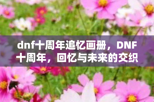 dnf十周年追忆画册，DNF十周年，回忆与未来的交织