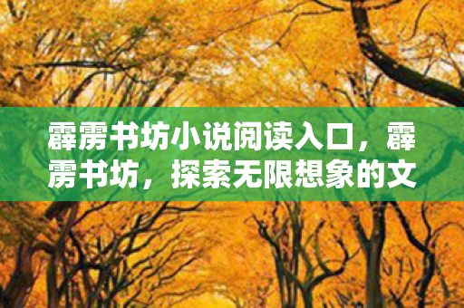 霹雳书坊小说阅读入口，霹雳书坊，探索无限想象的文学殿堂