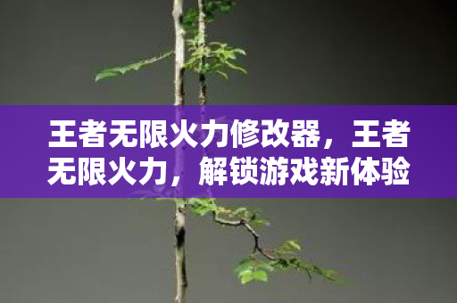 王者无限火力修改器，王者无限火力，解锁游戏新体验