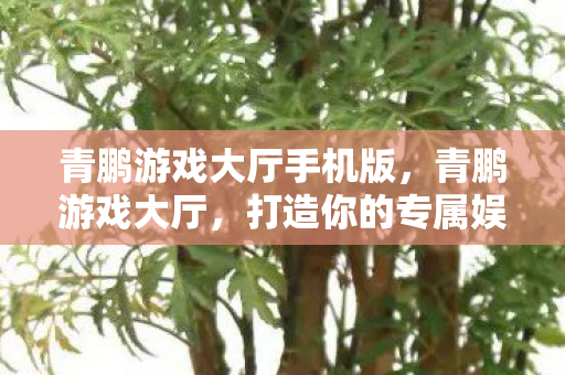 打造你的专属娱乐天地图片