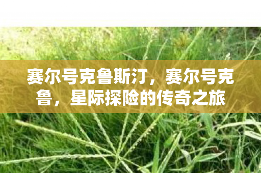 星际探险的传奇之旅图片