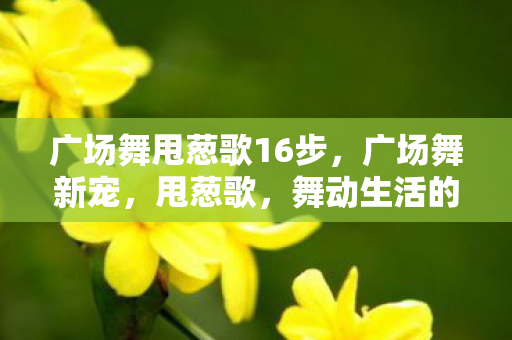 广场舞甩葱歌16步图片