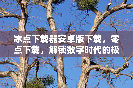 解锁数字时代的极速体验图片