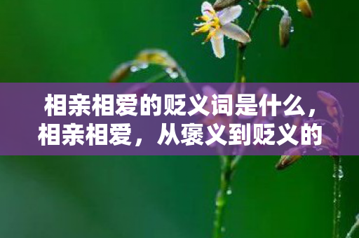 相亲相爱的贬义词是什么图片