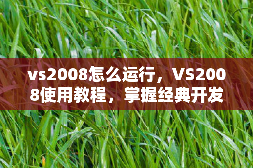 vs2008怎么运行图片