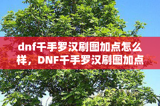 dnf千手罗汉刷图加点怎么样图片
