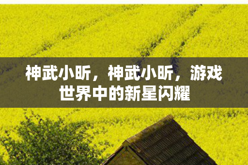 神武小昕，神武小昕，游戏世界中的新星闪耀