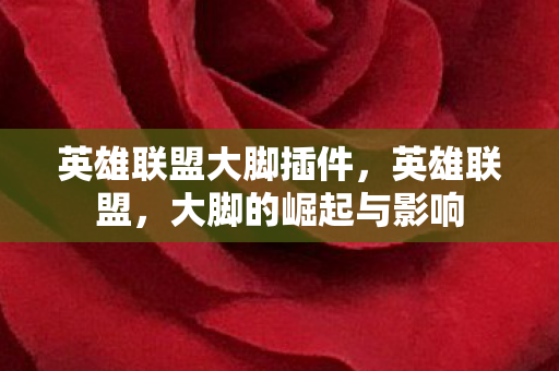 英雄联盟大脚插件图片