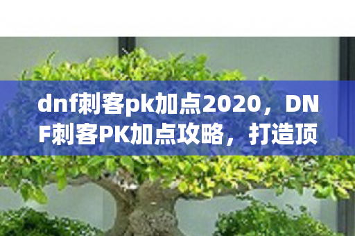 dnf刺客pk加点2020图片