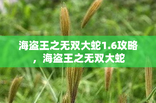 海盗王之无双大蛇1图片