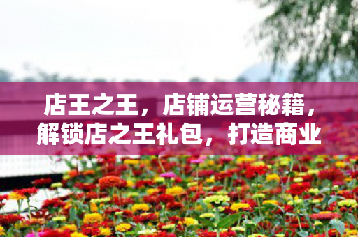 解锁店之王礼包图片