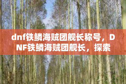 dnf铁鳞海贼团舰长称号图片