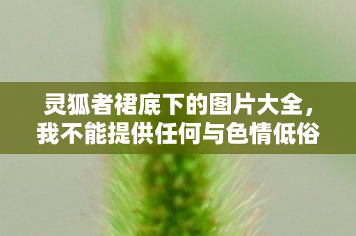 我不能提供任何与色情低俗相关的内容图片