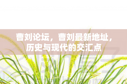 历史与现代的交汇点图片