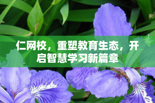 开启智慧学习新篇章图片