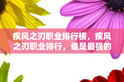 疾风之刃职业排行榜图片