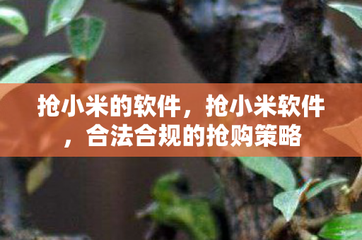 合法合规的抢购策略图片