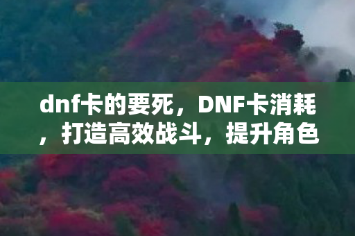 dnf卡的要死图片