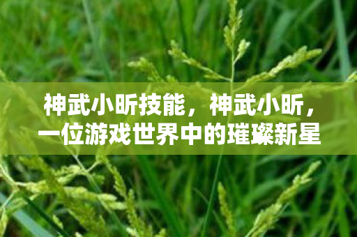 神武小昕技能，神武小昕，一位游戏世界中的璀璨新星