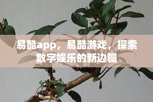 探索数字娱乐的新边疆图片