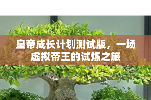 一场虚拟帝王的试炼之旅图片