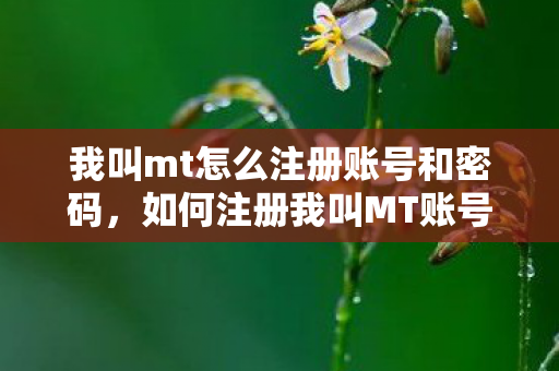 我叫mt怎么注册账号和密码图片