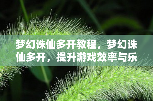 提升游戏效率与乐趣的实用技巧图片