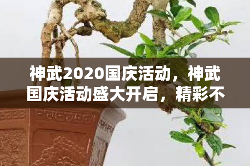 神武2020国庆活动，神武国庆活动盛大开启，精彩不断，玩家狂欢！