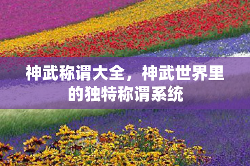 神武称谓大全，神武世界里的独特称谓系统