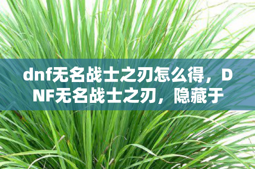 dnf无名战士之刃怎么得图片