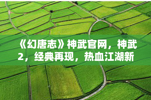 《幻唐志》神武官网，神武2，经典再现，热血江湖新篇章