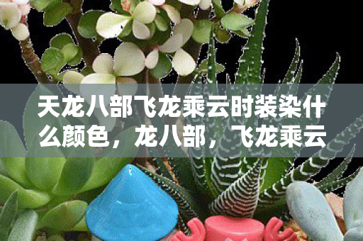 天龙八部飞龙乘云时装染什么颜色图片