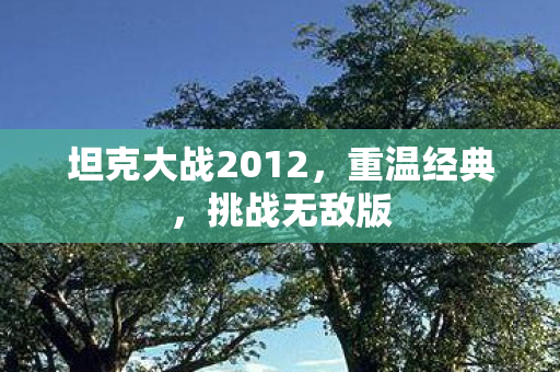 坦克大战2012图片