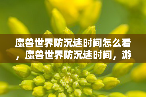 魔兽世界防沉迷时间怎么看图片