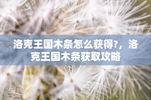 洛克王国木条怎么获得图片