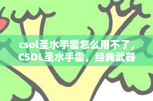 csol圣水手雷怎么用不了图片