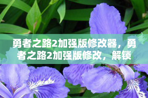 勇者之路2加强版修改器图片