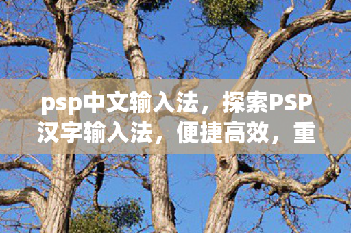 探索PSP汉字输入法图片