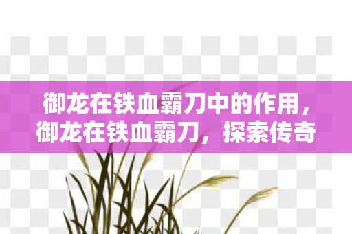 御龙在铁血霸刀中的作用图片
