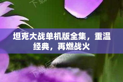 坦克大战单机版全集图片