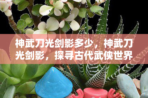 神武刀光剑影多少，神武刀光剑影，探寻古代武侠世界的剑术与刀法