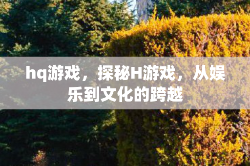 从娱乐到文化的跨越图片