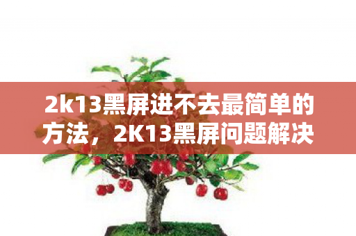 2K13黑屏问题解决方案及游戏优化建议图片