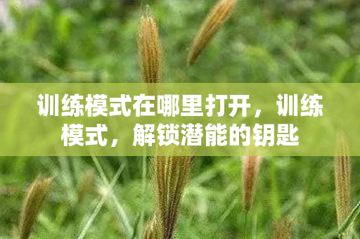 训练模式在哪里打开图片