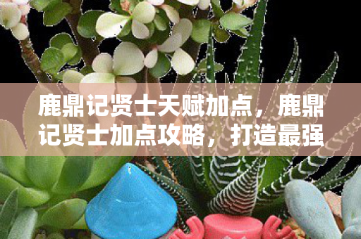 鹿鼎记贤士天赋加点图片