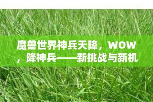 魔兽世界神兵天降图片