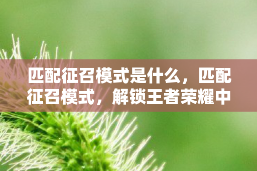 解锁王者荣耀中的策略与智慧图片