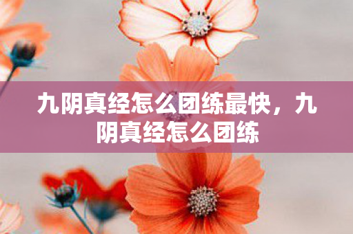 九阴真经怎么团练最快图片